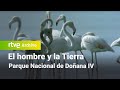 El hombre y la tierra: Capítulo 96 - Parque nacional de Doñana IV | RTVE Archivo