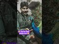 😚 AI 😄 short video 😆😆 mor ke Sath khelte hue 😌👍