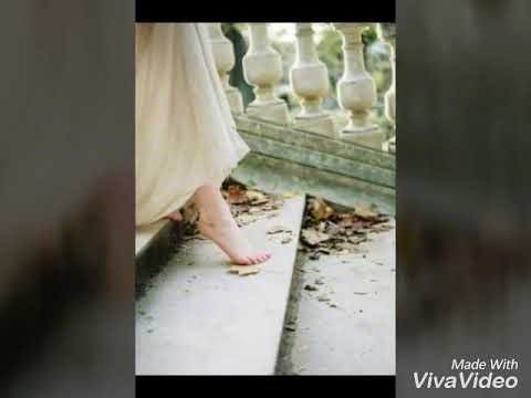 صفحة و طويتا وائل كفوري