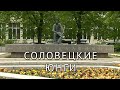 Соловецкие юнги. Специальный репортаж