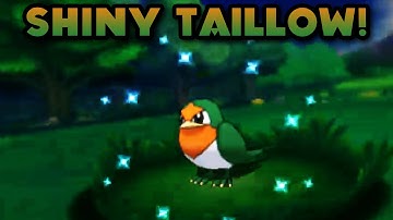 DEXNAV SHINY! - Shiny Taillow DexNav Chain (DexNav Chain of 195) - Pokemon ORAS DexNav Shiny