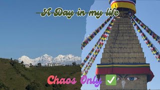 Tried To Vlog A Day In My Life Ended Up Filming Chaos Only