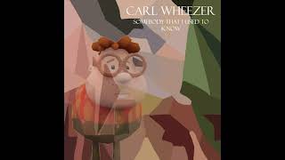 Carl Wheezer Sings Somebody That I Used To Know - Gotye