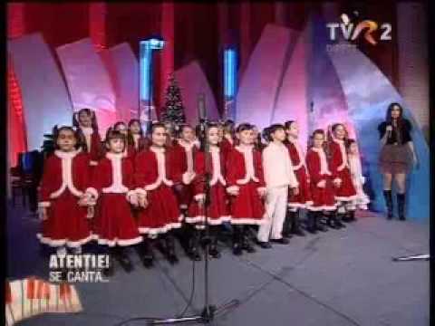 Grupul Miracol Florile Dalbe