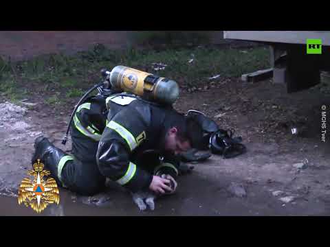 Firefighter revives cat after saving it from fire in Central Russia