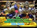 Zeem genki damatail cut vegeta oozaru vs gokushia hauls episode 14