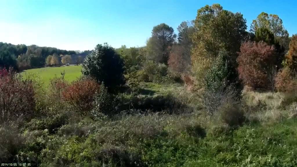 Blackout super mini H