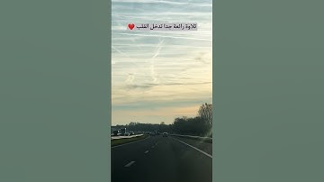 #تلاوة_رائعة #تلاوة_خاشعة #تلاوة_هادئة #تجويد #الغامدي #سعد_الغامدي #الجزائر #السعودية #مصر #الكويت