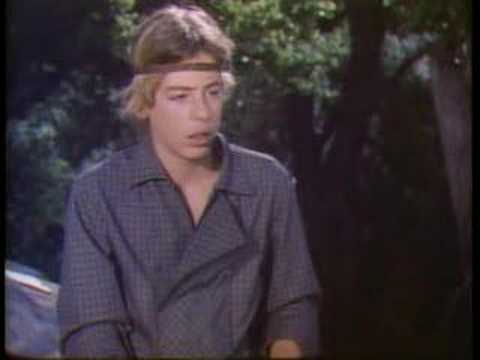 Leif Garrett doesn't neet to shave...