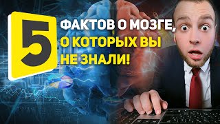 5 Фактов о Мозге, о Которых вы не Знали!