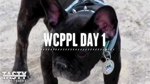 WCPPL HighRollers Day 1 (same day edit)