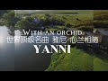 世界顶级名曲：心兰相随 - 雅尼 With an orchid - Yanni #雅尼音乐 #雅尼和兰花 #YanniMusic #YanniFans #MusicAndNature