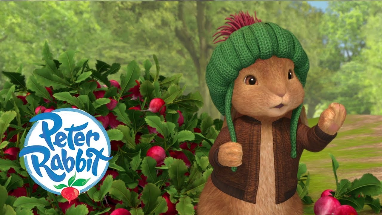 Peter Rabbit - Taking All of the Radishes | Cartoons for Kids