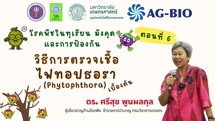 การเช ค manual ในโทรศ พท ม อถ อ