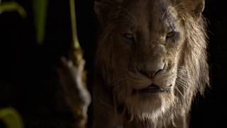 The Lion King (2019) - Mufasa and Scar Talking Scene Hindi