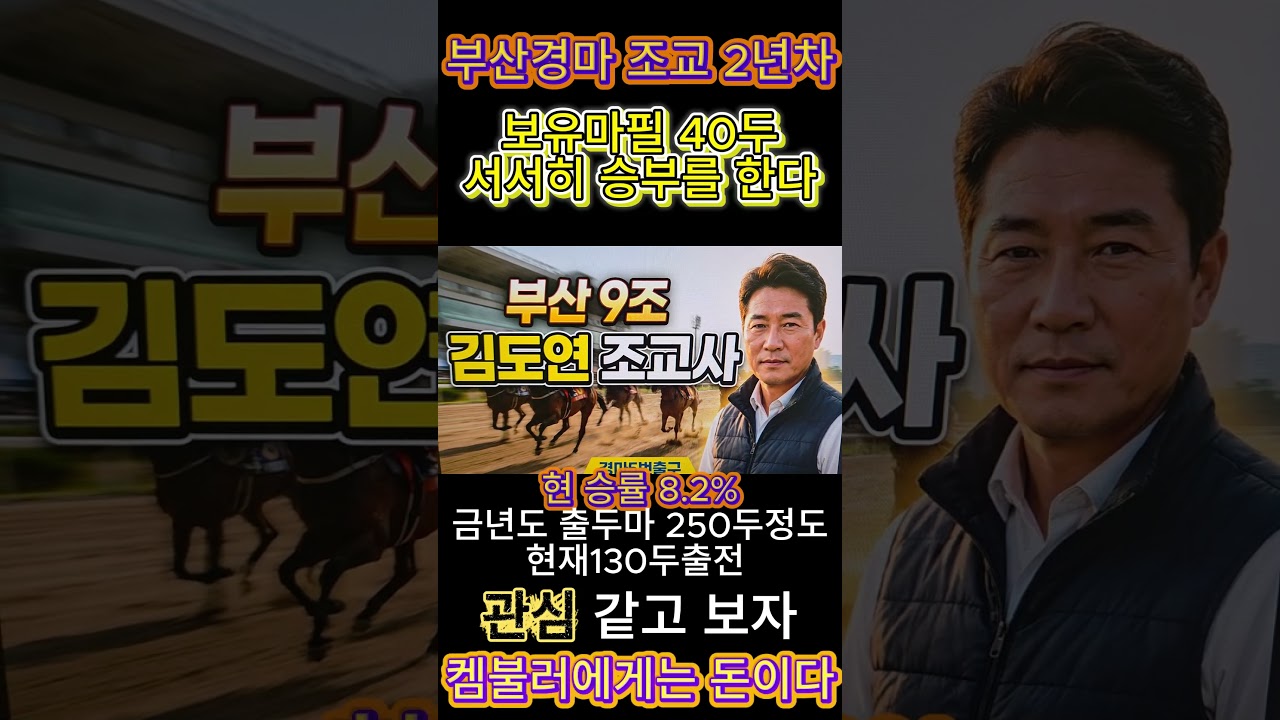 2년차 부산/김도현 조교사#경마예상#기수#조교사#철저한분석