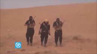 Курдский активист рассказал RT о зверствах боевиков «Исламского государства»