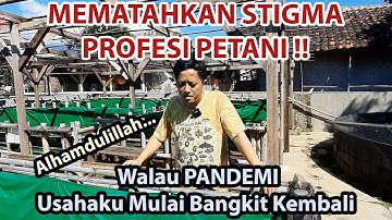 PETANI TANGGUH DI SAAT PANDEMI !!