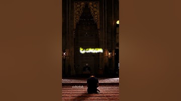 تلاوة قرانية من سورة الزمر | القارئ محمد هشام | تلاوة هادئه 🙂تريح القلب ♥#altawbah#قرآن#ﷺ#islam