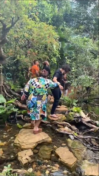Aviary Dehakims kedatangan Soimah, Nunung, Ramzi || #shorts #dehakimsaviary #aviary #viral #fyp