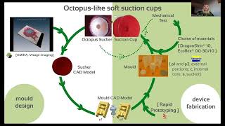 From Nature to Nature: A vision of Bioinspired Soft Robots for the Planet by Barbara Mazzolai