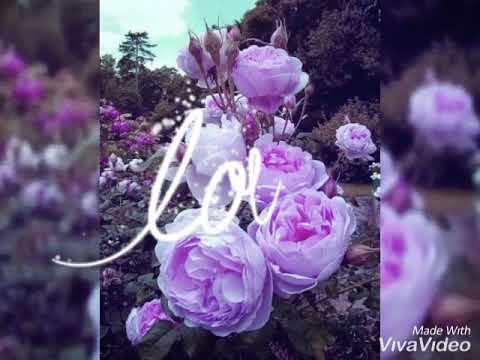 ملحمة من داخل مشفى شرق النيل أبطالها ملائكة الرحمة