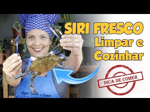 COMO LIMPAR SIRI E PREPARAR SIRIZADA