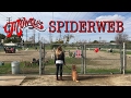 "Spiderweb" by The Mowgli's