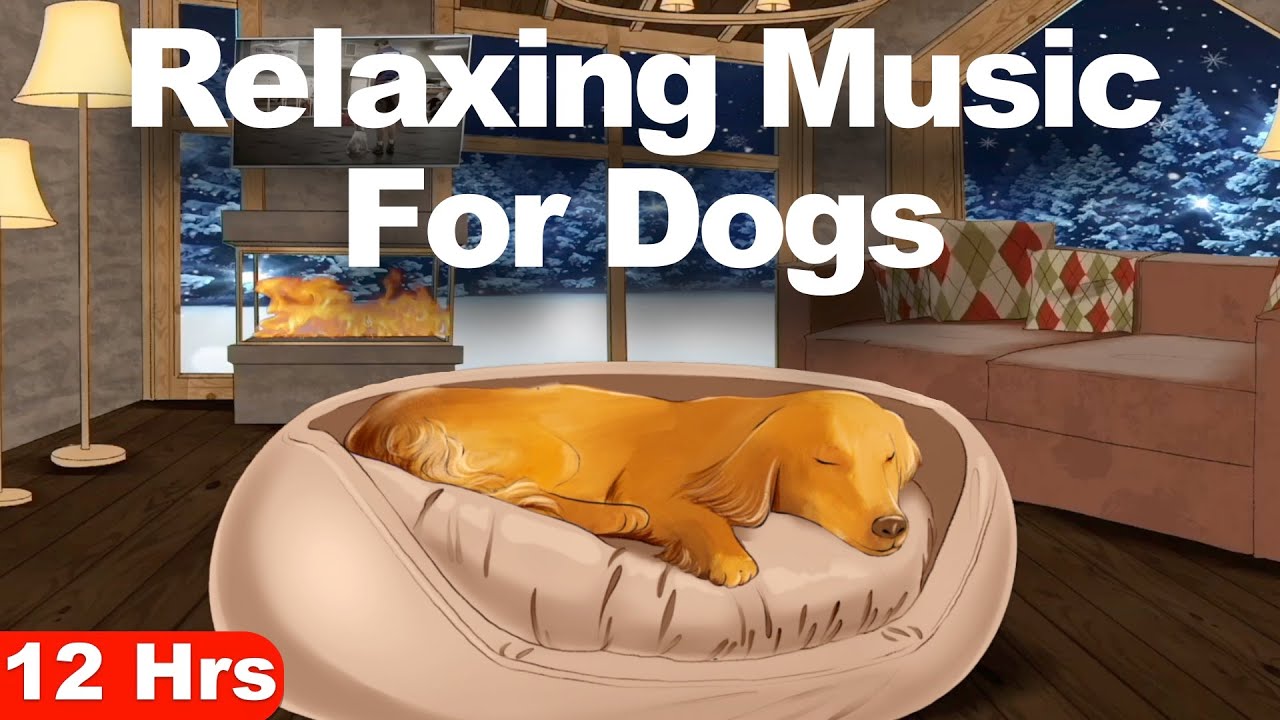 Music For Dogs To Go To Sleep (Winter Scene) YouTube