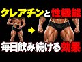 【最新研究】クレアチンを毎日飲むと“男性機能”はどうなる？ 〜精子・性欲・勃起・モテるを科学的に検証〜