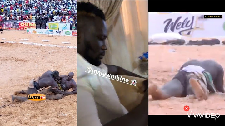 Incroyable! la Réaction de Boy Niang après la Victoire de Sa Thiés et la Défaite de Fils de Tigre