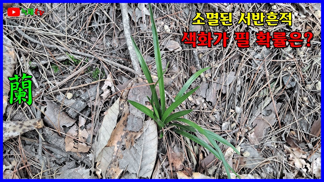 소멸된 서반의 흔적을 찾아 보는 영상 입니다.