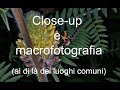 Close-up e macrofotografia (al di là dei luoghi comuni)