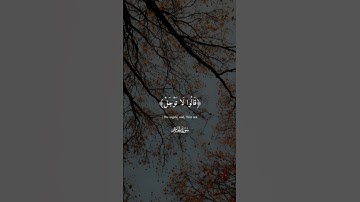 اكتب شيئ تؤجر عليه#القرآن_راحة_نفسية #القارئ هزاع البلوشي#