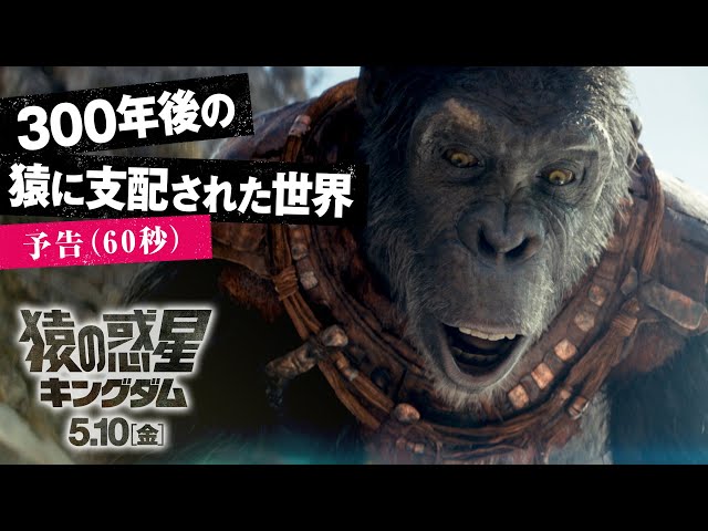 映画『猿の惑星／キングダム』予告（60秒）｜300年後の猿が支配する