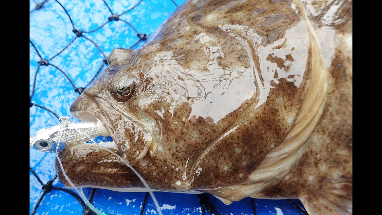 Flounder/Fluke Fishing - SPRO Bucktail and Gulp Shrimp 