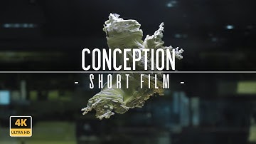 Conception - A fractal short