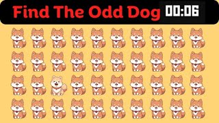 Spot the Odd Dog Challenge! Can You Identify the Unique Pup?