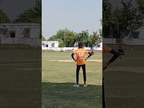 Shorts Cricket Bayana