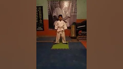 Brandon lee Avila - taikioku sono ichi - dojo Mats...