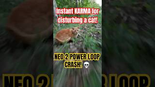 The cat used 1 life... my drone used its only one 💀🐈 #shorts #fpv #djineo2 #warsaw