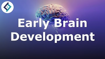Early Brain Development | Edexcel GCSE Psychology
