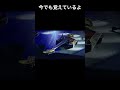 ロックンロールが死んで/DOES【アコギ弾き語り】