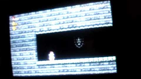 New Super Mario Bros Wii cheating hacking :D