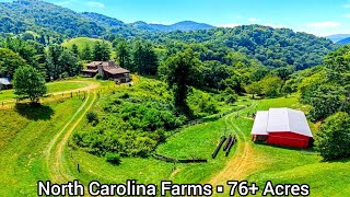 North Carolina Farms For Sale /76  Acres Crabtree Rd North Carolina Land For Sale Clyde