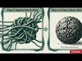 Penicillium: The Fungus That Changed Medicine Forever