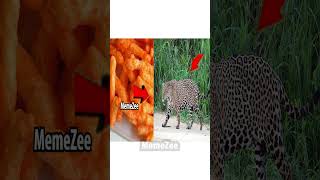 is it really worth it?