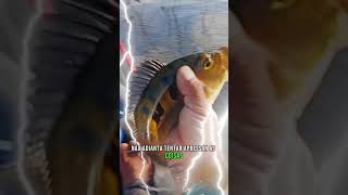 o dono do tempo #motivar #reflexão #deustemumapalavrapravoce #fe #fishing#dono #tempo