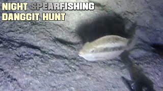 EP.21 DANGGIT HUNT IN OUR COMMON SPOT, NIGHT SPEARFISHING PHILIPPINES