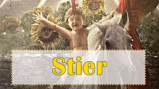 STIER  Tarot Prognose August 2023 - Liebe, Beruf...